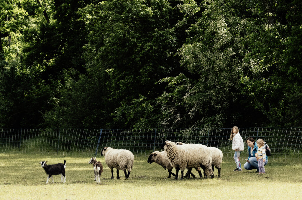 Ein Rückblick auf den Tag der offenen Tür: Gemeinschaft erleben, Natur spüren