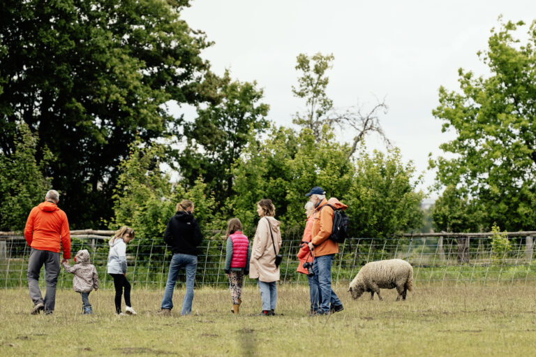 Gruppe Menschen in der Natur