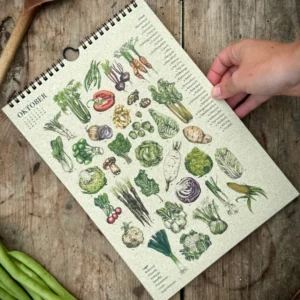 Saisonkalender Gemüse mit Rezepten – Ringbindung